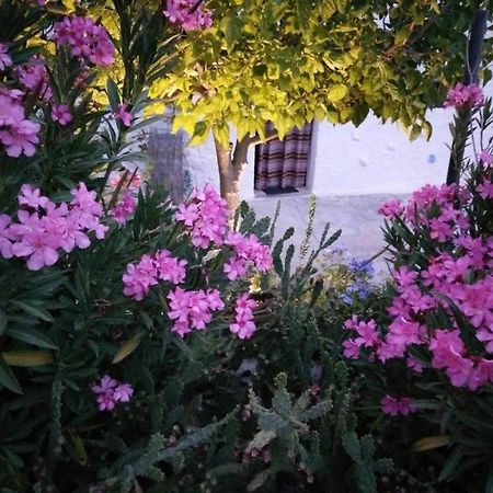 Villanueva de las Torres Cuevas Los Coloraos - La Residencia מראה חיצוני תמונה